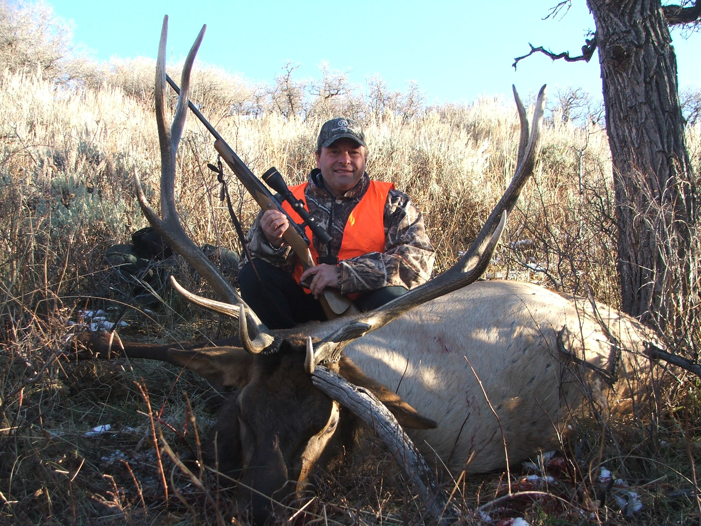 colorado elk season 2021 rifle colorado elk season 2021 rifle